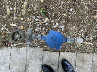  | 八重瀬町安里戸建て