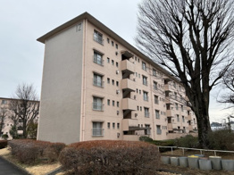 柏町住宅7号棟の画像