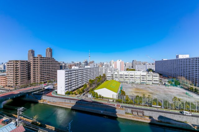 バウス西大島　8階　築浅　2022年築　１LDKの展望
