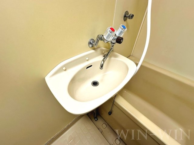 シティハイツ宮脇の洗面所