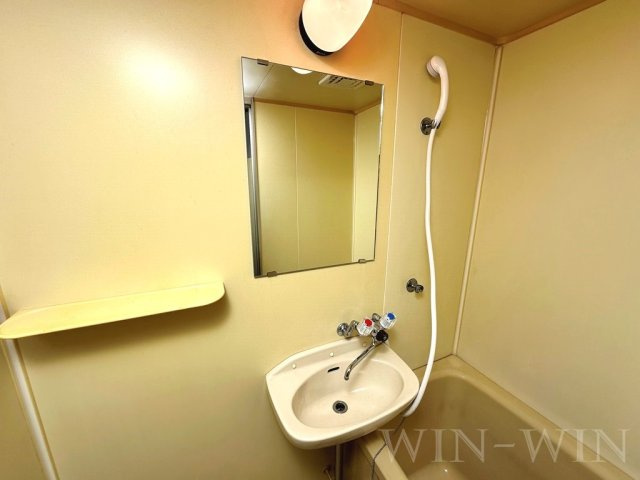 シティハイツ宮脇の洗面所