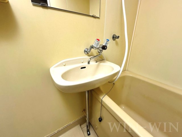 シティハイツ宮脇の洗面所