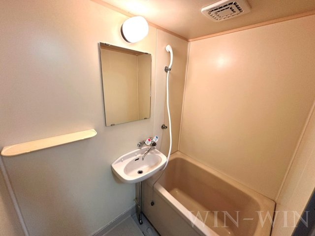 シティハイツ宮脇の洗面所