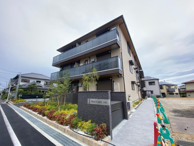 Dear Court大美野