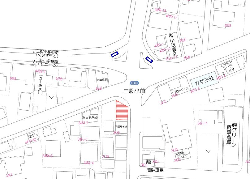 北諸県郡三股町大字樺山の売地の土地図