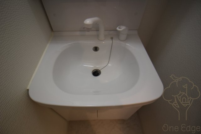 S-RESIDENCE新大阪Ridenteの洗面所