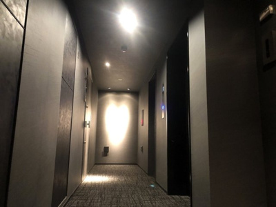 【その他共用部分】 | ミルーナヒルズD鳩ヶ谷