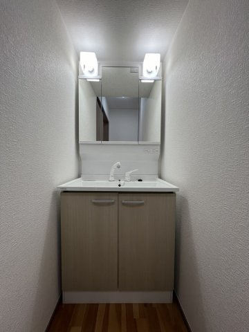 鏡町野崎戸建ての独立洗面台