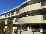 エレガンツァAの画像