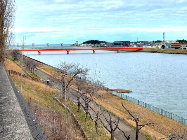 日東サンシャイン青山A棟の周辺|道路を挟んだ先には関屋分水から平成大橋まで一周できる土手もあります。
ランニングコースやお散歩にいかがでしょうか？(^^♪
