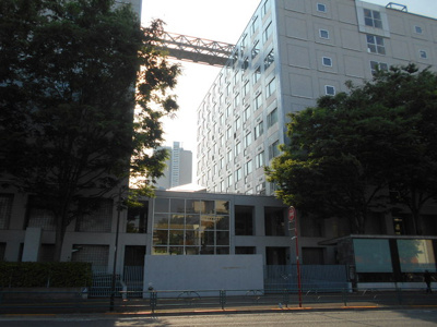 大学