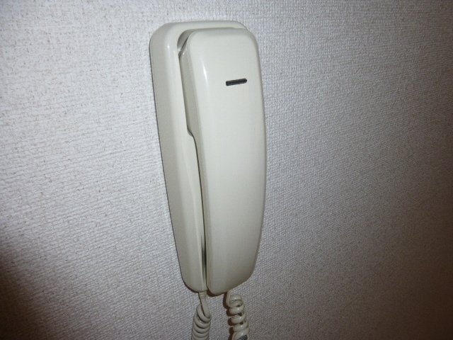 パレスイナバのセキュリティ