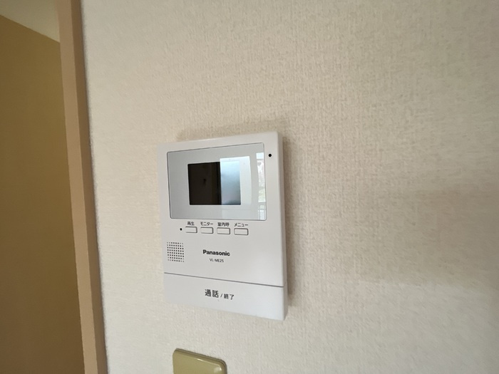 ヴェルドミールのセキュリティ