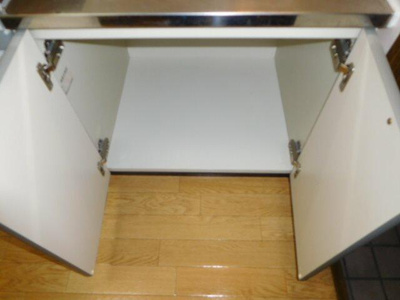 【その他】 | ＳＹＬＰＨ・Ｋ（シルフ・ケー）