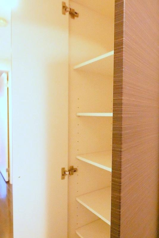 ＶＩＤＡ文京本郷の収納|※写真は同タイプの別室になります