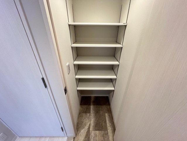 ルフォンプログレ堺筋本町タワーレジデンスの収納