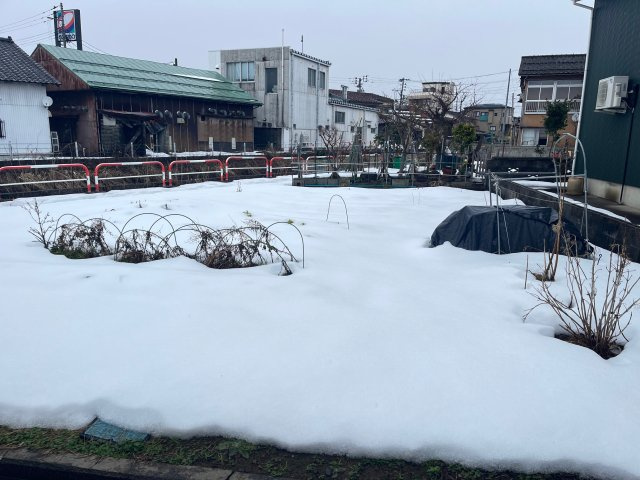 【周辺】の画像