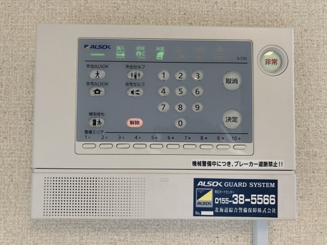 レオネクストステラのその他