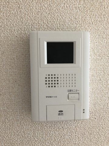 レオネクストステラのその他