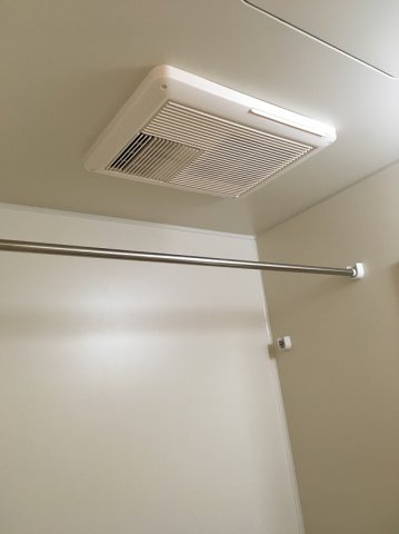 レオネクストステラのその他