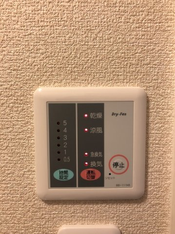 レオネクストステラのその他