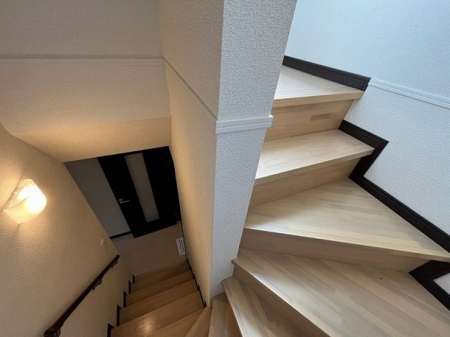 レオネクストステラのその他
