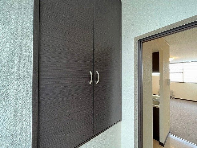 レオネクストステラのその他
