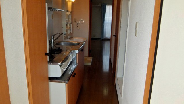 ヴランドールＲＩＯの居間・リビング|玄関からの眺め