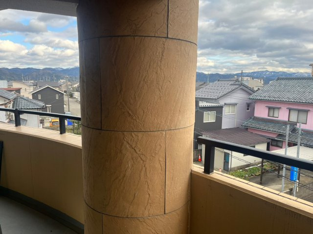 ロアール円山の展望