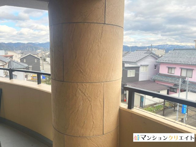 ロアール円山の展望