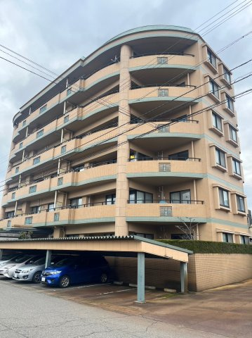 ロアール円山の外観