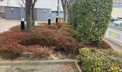 【庭】 | クイーンシティ町田 | 物件によっては、入居者が個人的に使用できる専用庭がついているものもあります。また、住宅の中にある土間の部分を庭と呼ぶこともあります。庭の用途は住む人によって変わり、それによってデザインもさまざまです。