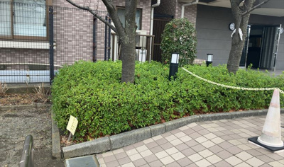 【中庭】 | クイーンシティ町田 | 中庭（パティオ）とは、一つの建築物の内部に設けられた、壁などで囲われている庭のことを指します。コの字型、ロの字型が主流ですが、L字型の中庭もあります。最近では、インテリア性の高さからも人気があります。