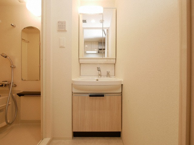 グランカリテ九条南の洗面所