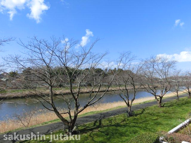 リバージュガーデンウィズ八千代の展望|陽当り・眺望良好　新川が望め癒されます！