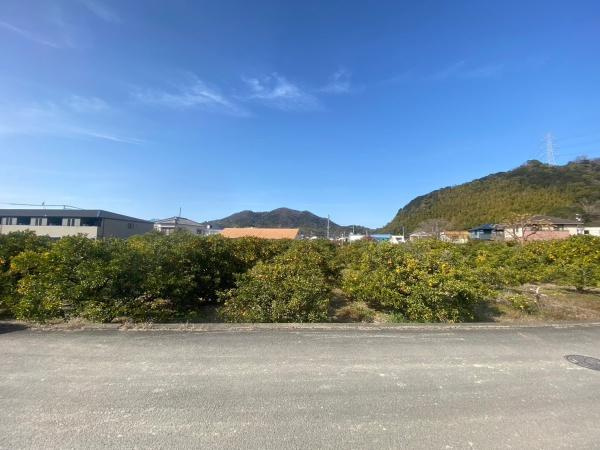 和歌山市毛見　土地の外観