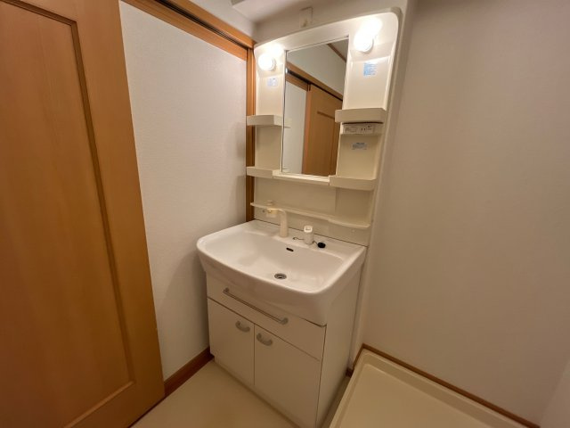 フィールドパレスＶの洗面所
