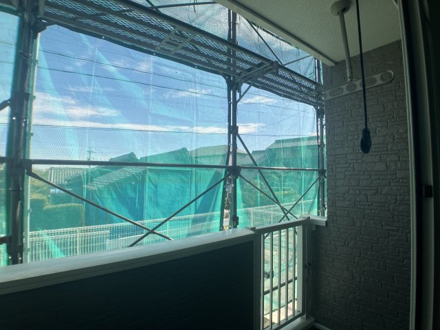 CottonHillsⅡの展望