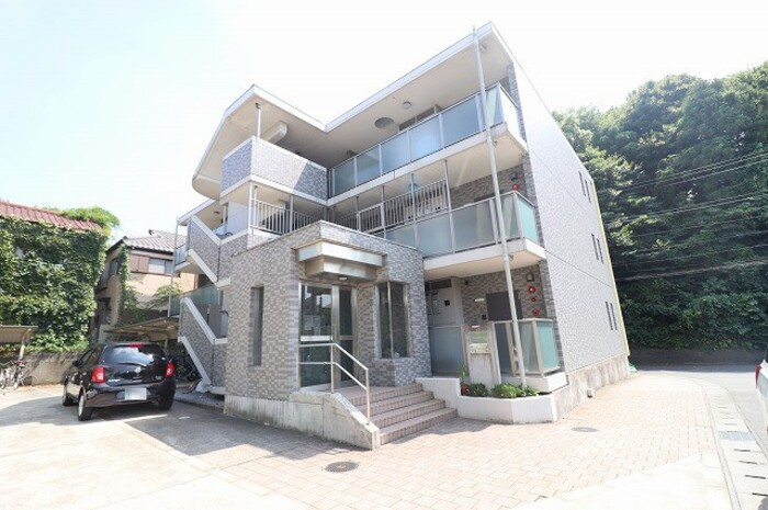 Magnolia coutの外観