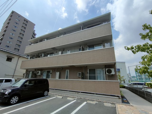 大供ＭＯＭＯの画像
