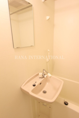 レオパレススティジミハルの洗面所