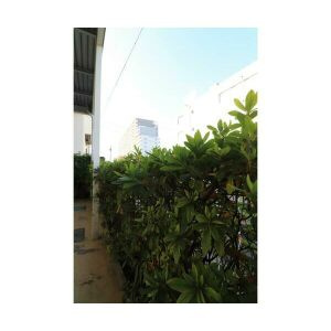 【庭】 | エステートピア フラワー