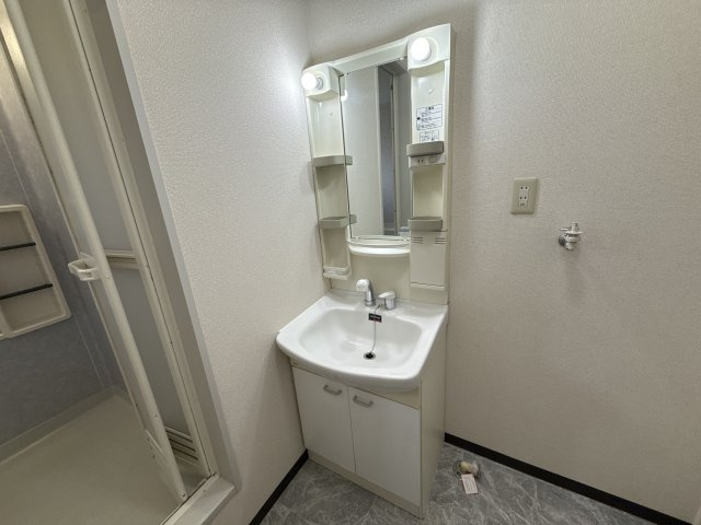 ディアス宮脇Ａ棟の洗面所