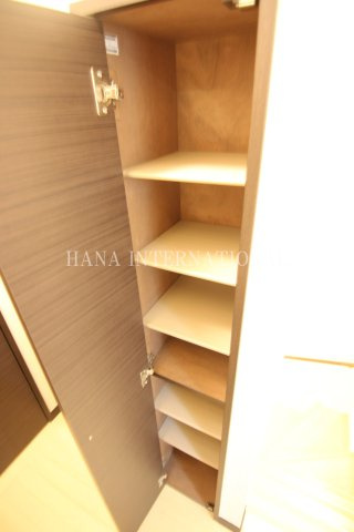 レオネクスト山崎　あずま橋の収納