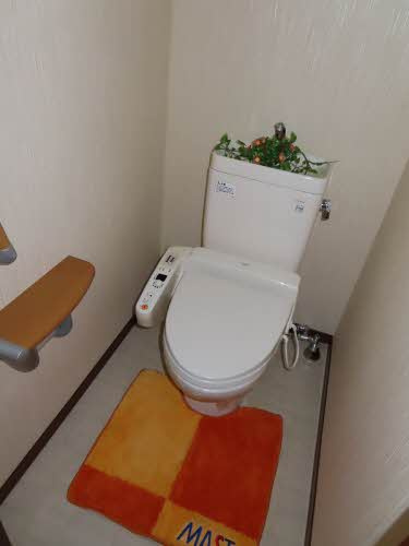 シーサイド　ドミトリー　壱番館のトイレ