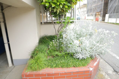 【庭】 | めじろ台コーポラス | 物件によっては、入居者が個人的に使用できる専用庭がついているものもあります。また、住宅の中にある土間の部分を庭と呼ぶこともあります。庭の用途は住む人によって変わり、それによってデザインもさまざまです。