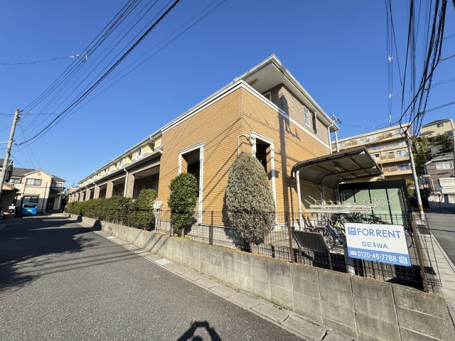 グリーンソレアード