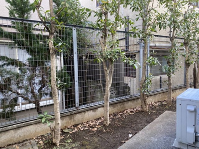 【展望】 | ワイケービー桜台