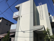 カシュカシュの画像