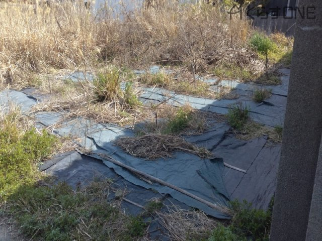 【外観】 | 姫路市木場／売土地